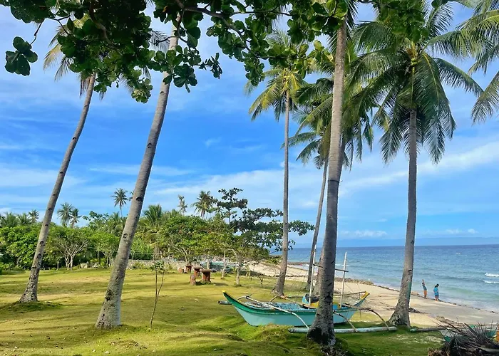 Camotes Palanas Himensulan