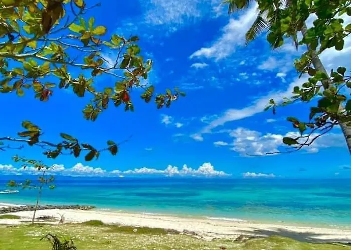 Camotes Palanas Himensulan