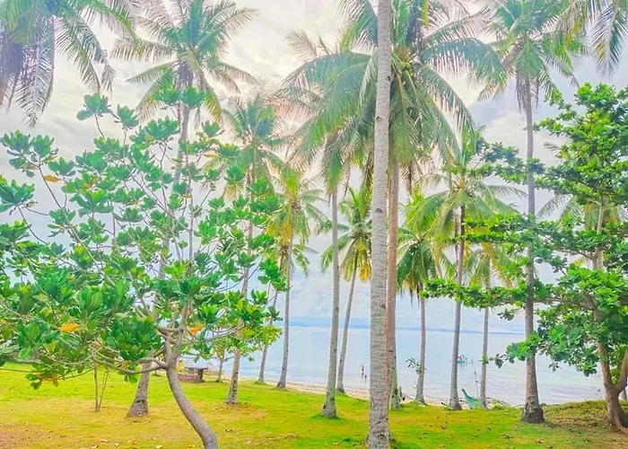 民宿 Camotes Palanas *