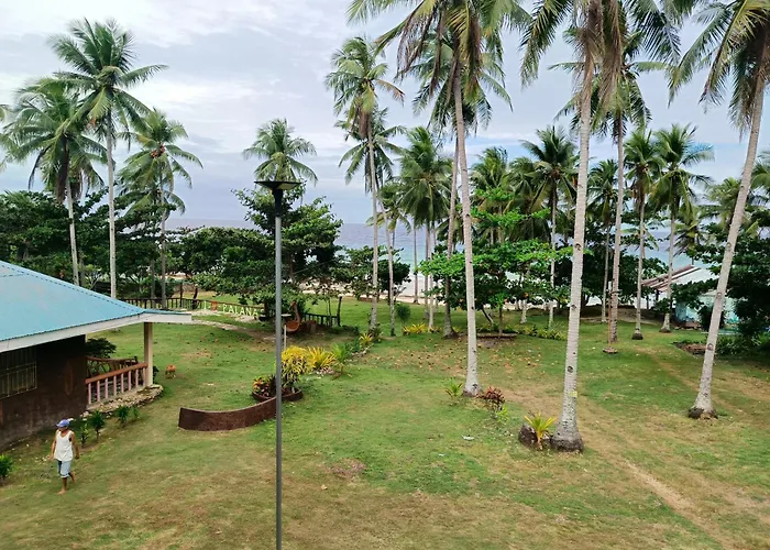 Camotes Palanas Himensulan
